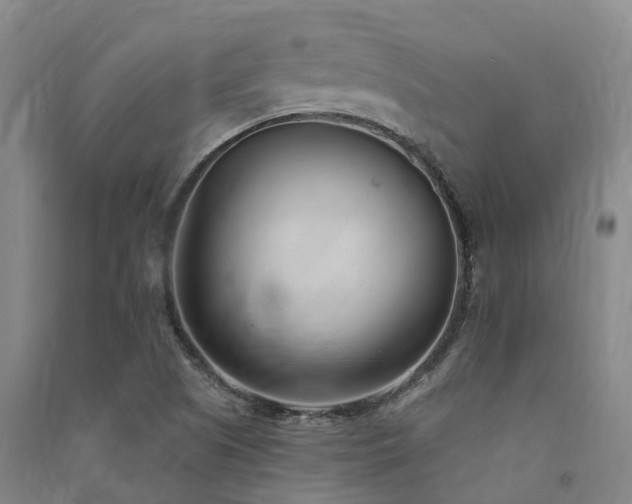 X0000091561505200708171315