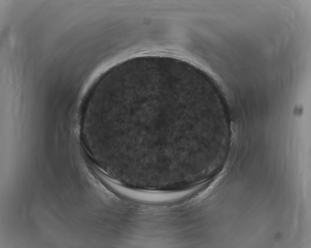 X0000091561506200708171315