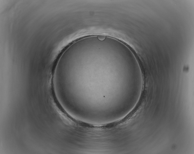 X0000091561507200708171315