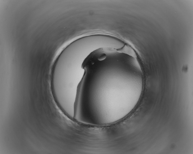 X0000091561508200708171315