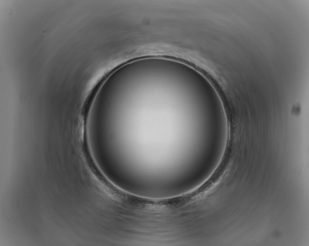 X0000091561509200708171315