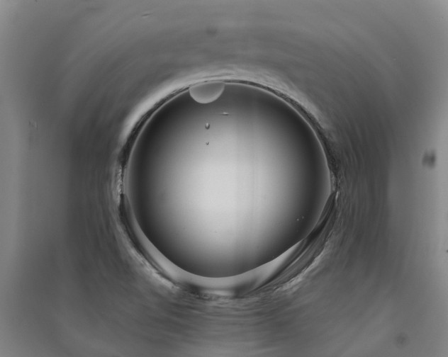 X0000091561510200708171315