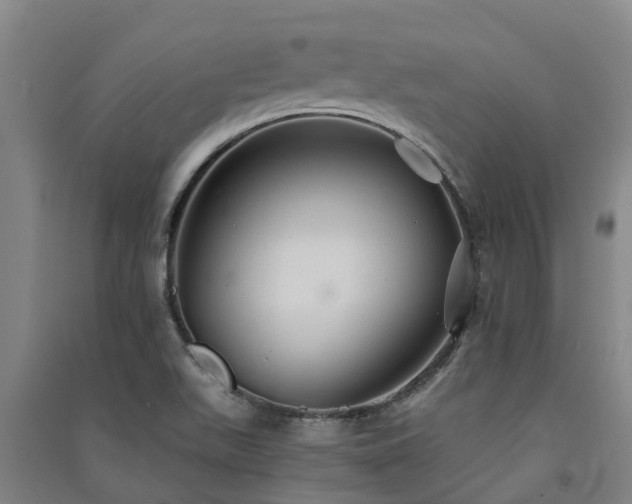 X0000091561511200708171315