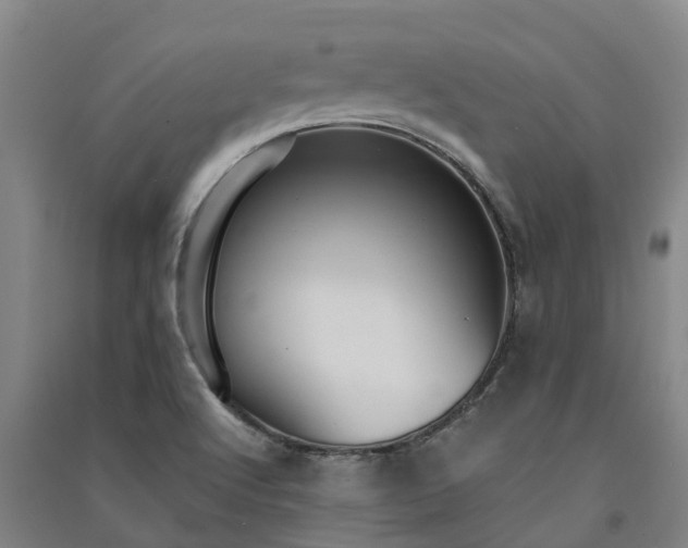 X0000091561512200708171315