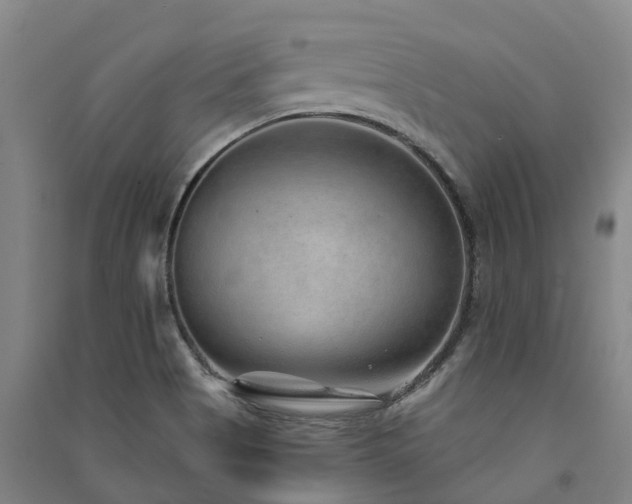 X0000091561513200708171315