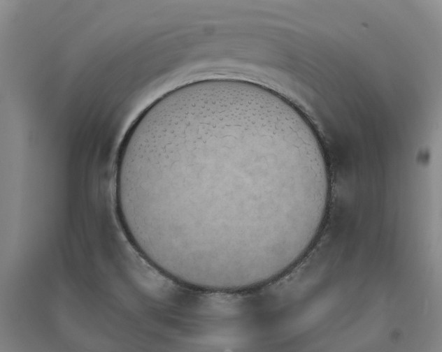 X0000091561514200708171315