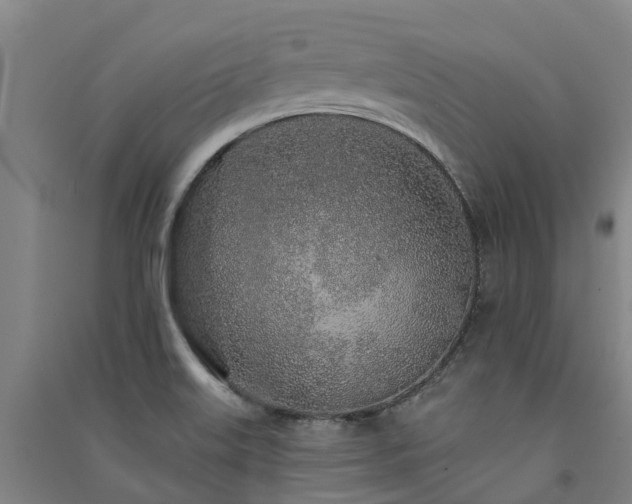 X0000091561515200708171315