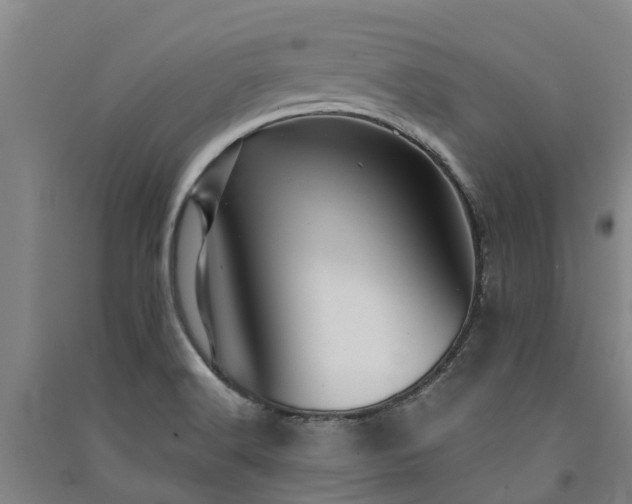 X0000091561516200708171315