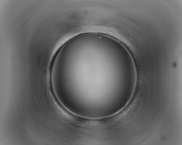 X0000091561517200708171315