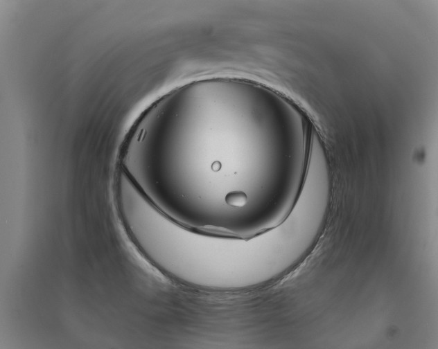 X0000091561518200708171315