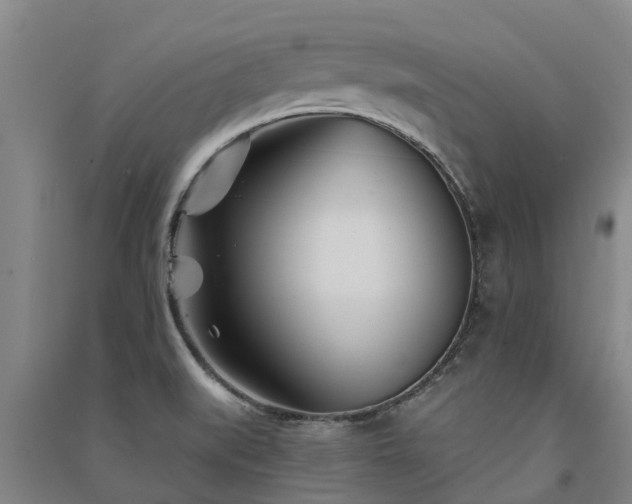 X0000091561519200708171315