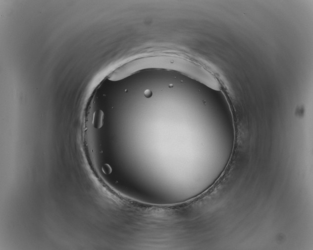 X0000091561520200708171315