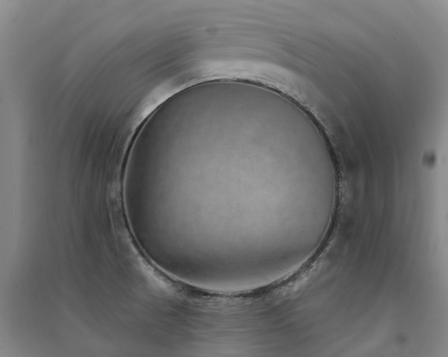 X0000091561521200708171315