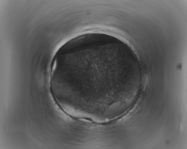 X0000091561522200708171315