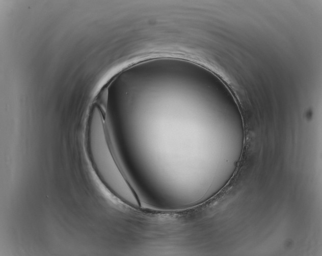 X0000091561523200708171315