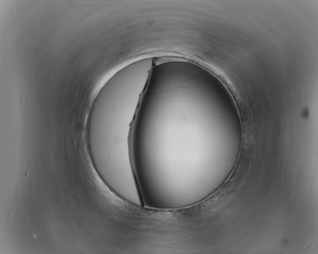 X0000091561524200708171315