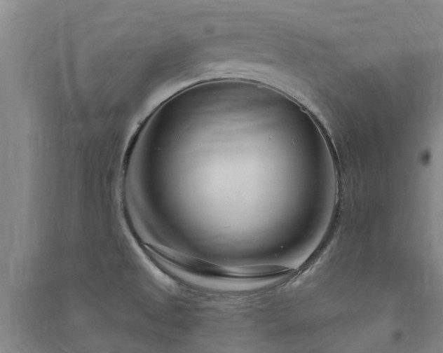 X0000091561525200708171315