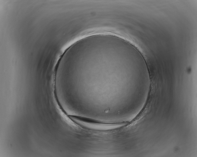 X0000091561526200708171315