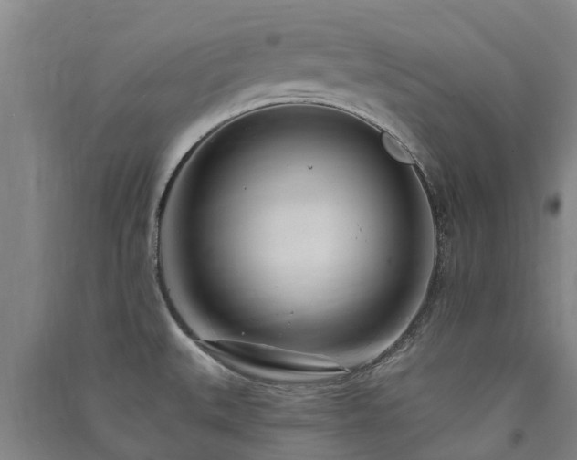 X0000091561527200708171315