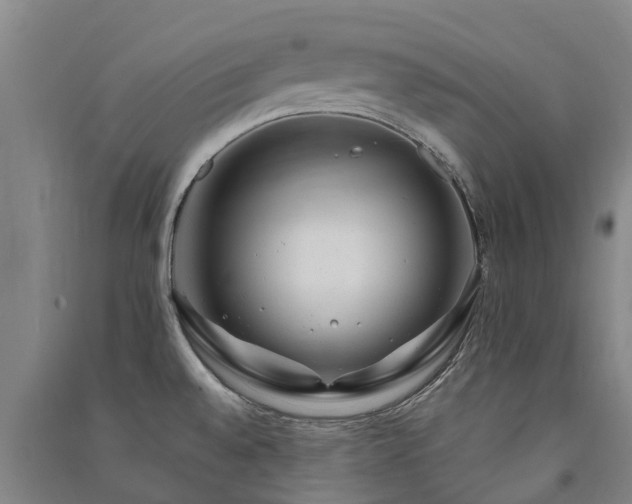 X0000091561528200708171315