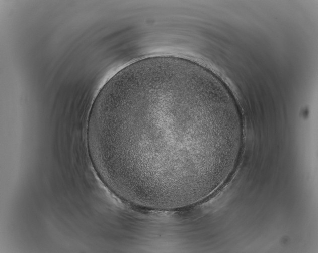 X0000091561529200708171315