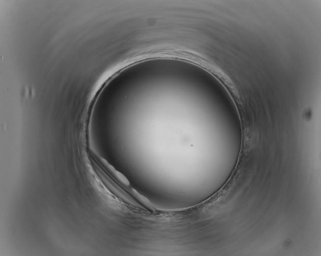 X0000091561530200708171315