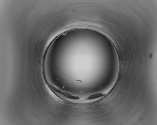 X0000091561531200708171315