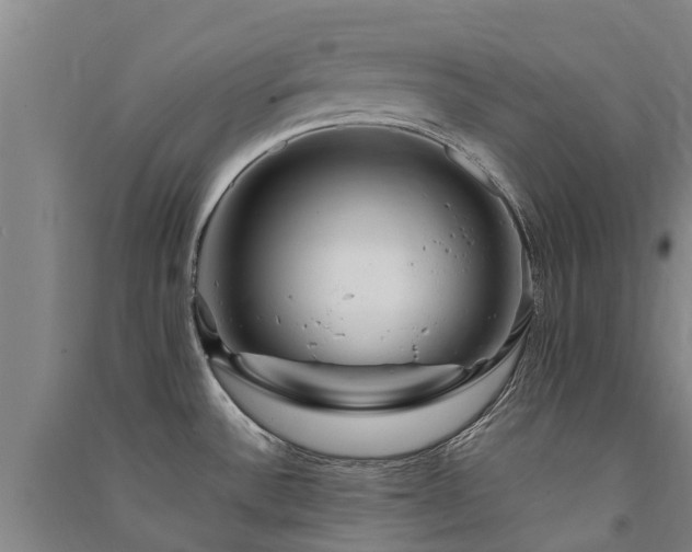 X0000091561532200708171315