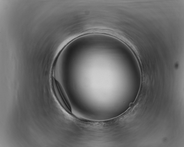 X0000091561533200708171315