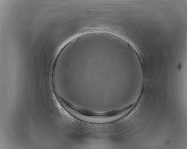 X0000091561534200708171315