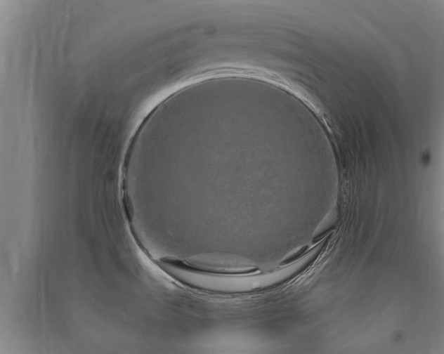 X0000091561535200708171315