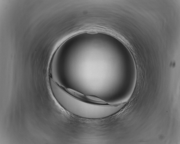 X0000091561536200708171315