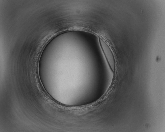 X0000091560001200708241826