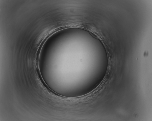 X0000091560002200708241826