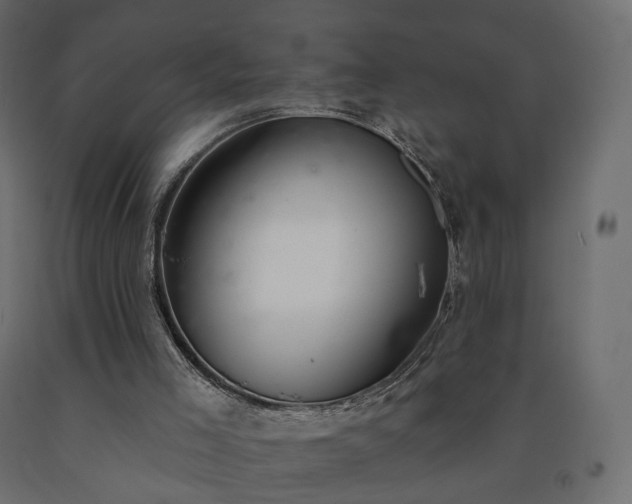 X0000091560005200708241825