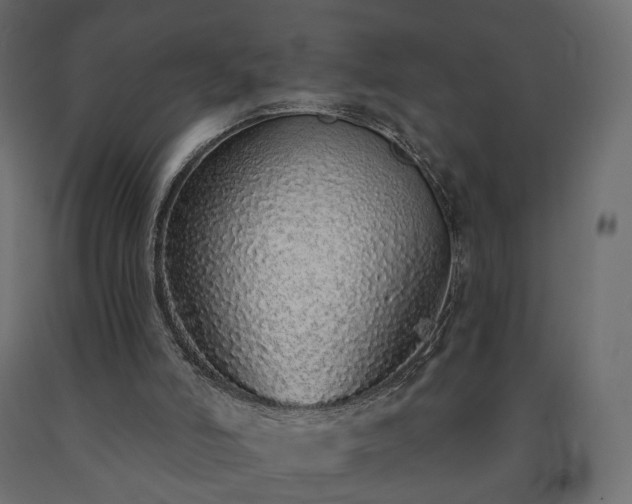 X0000091560006200708241825