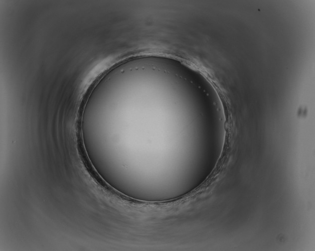 X0000091560007200708241825