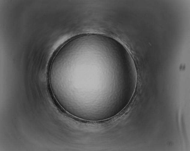 X0000091560008200708241825