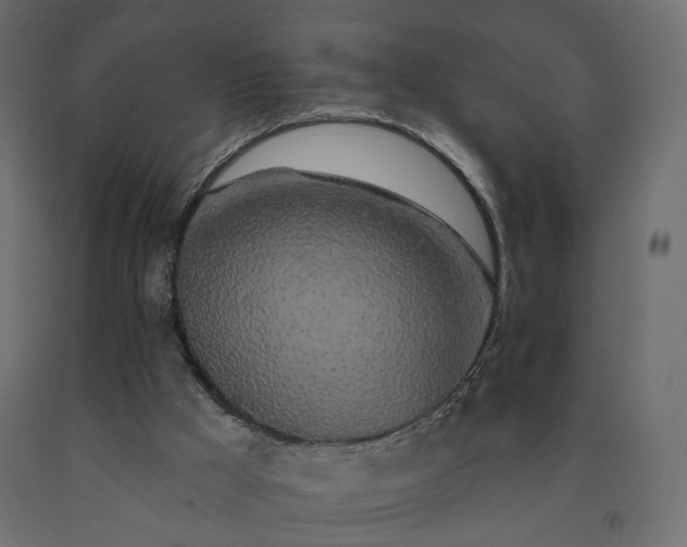 X0000091560009200708241825