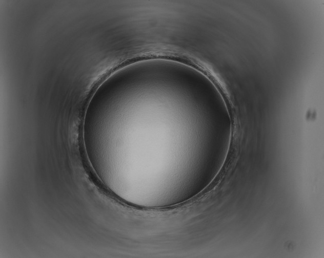 X0000091560010200708241825