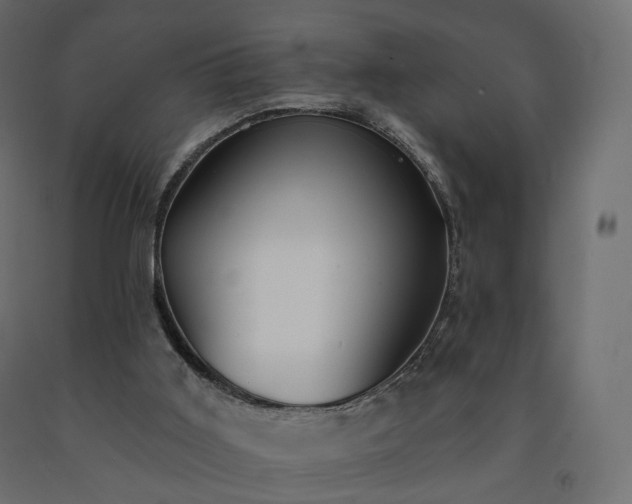 X0000091560011200708241825