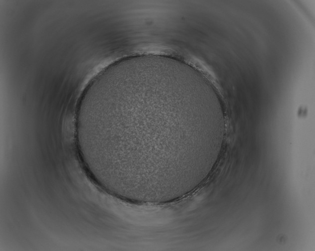 X0000091560012200708241825