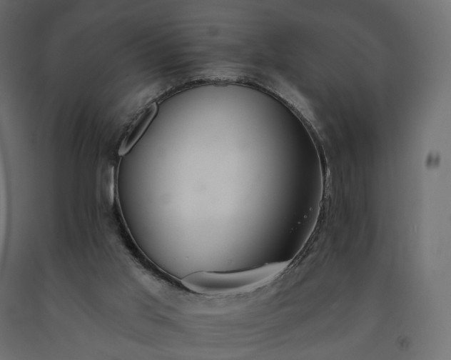 X0000091560013200708241825