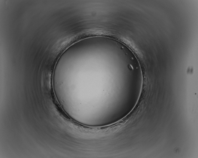 X0000091560014200708241825