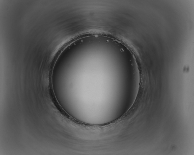 X0000091560015200708241825