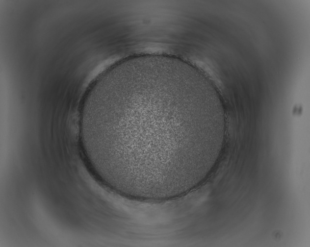 X0000091560016200708241825