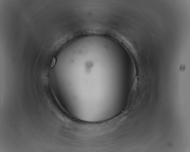 X0000091560017200708241825