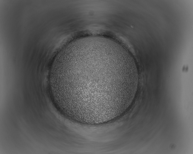 X0000091560018200708241825