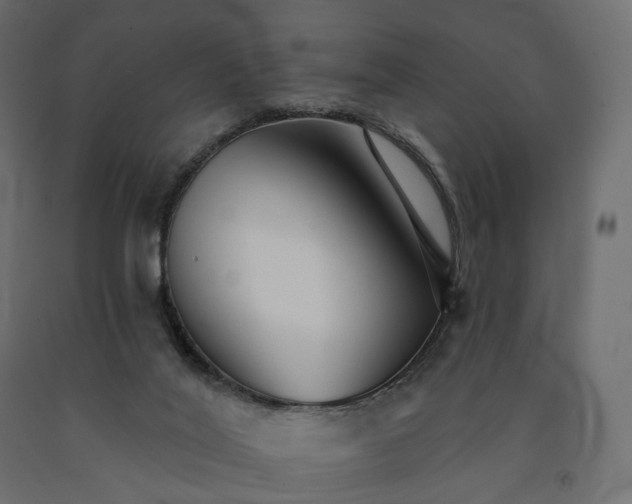 X0000091560020200708241825