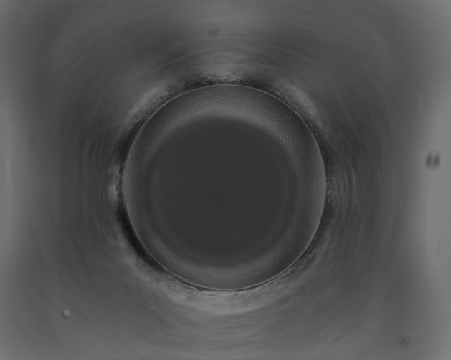 X0000091560023200708241825